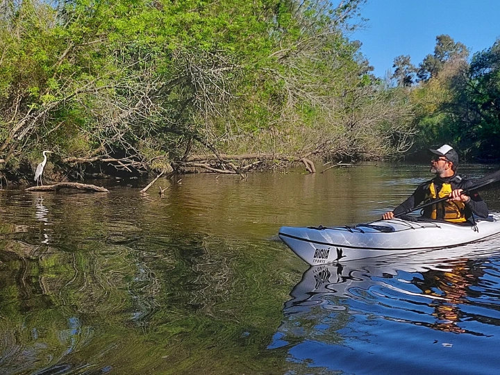 kayak de travesía biguá audaz navegando en delta, el palista observa una garza, vegetacion frondosa