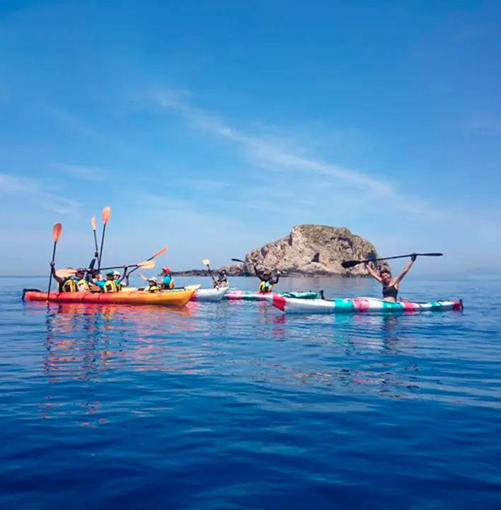 palaplasttrans2 editado.webp