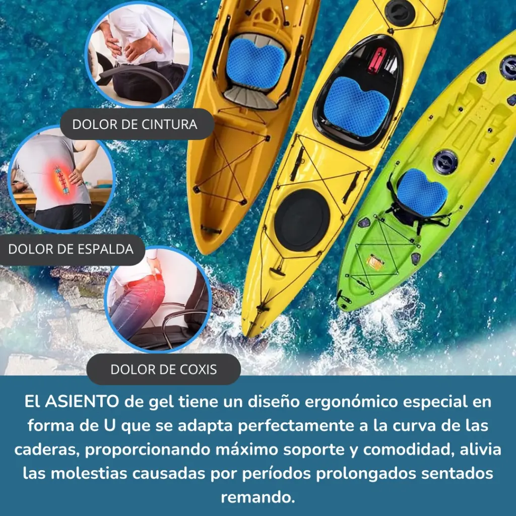 WhatsApp Image 2025-10-06 at 1.08.15 PM (1).webp