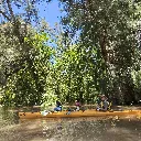 IMG_20260118_132533.webp