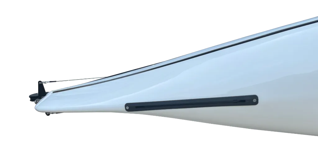 D16 (9).webp