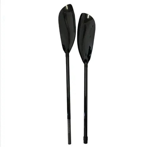 PalaWing1 editado.webp