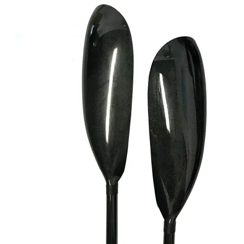 PalaWing2 editado.webp